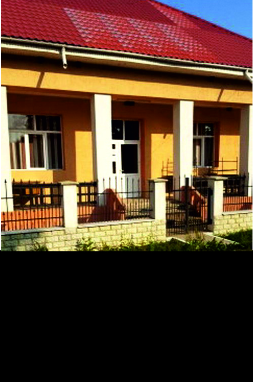 COTOFANESTI - Sedinta de investire a Primarului Viorel Olariu si a Consiliului Local